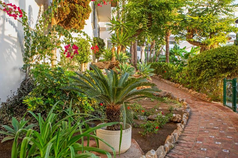 Royal Oasis Club At Pueblo Quinta - image 7