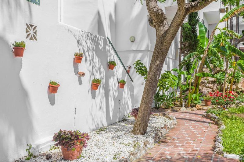 Royal Oasis Club At Pueblo Quinta - image 8