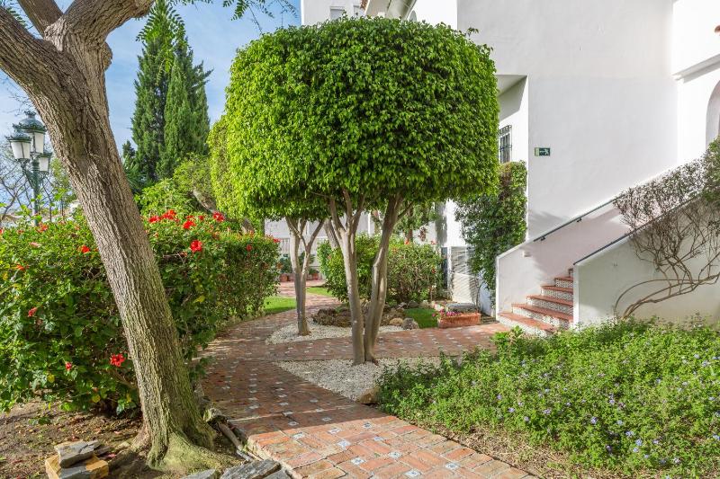 Royal Oasis Club At Pueblo Quinta - image 30