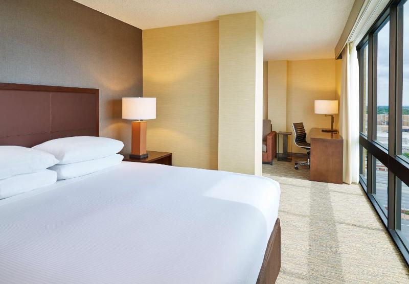Junior King Suite with Sofa Bed image 3