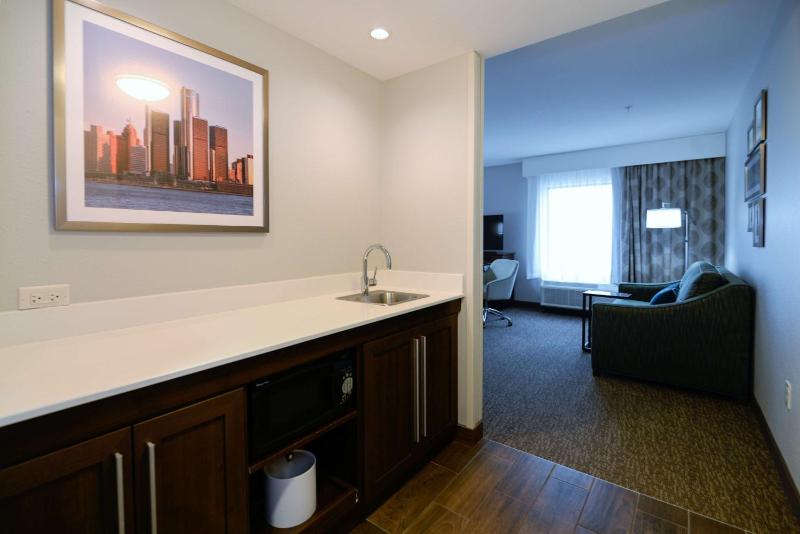 King Studio Suite - Non Smoking image 4