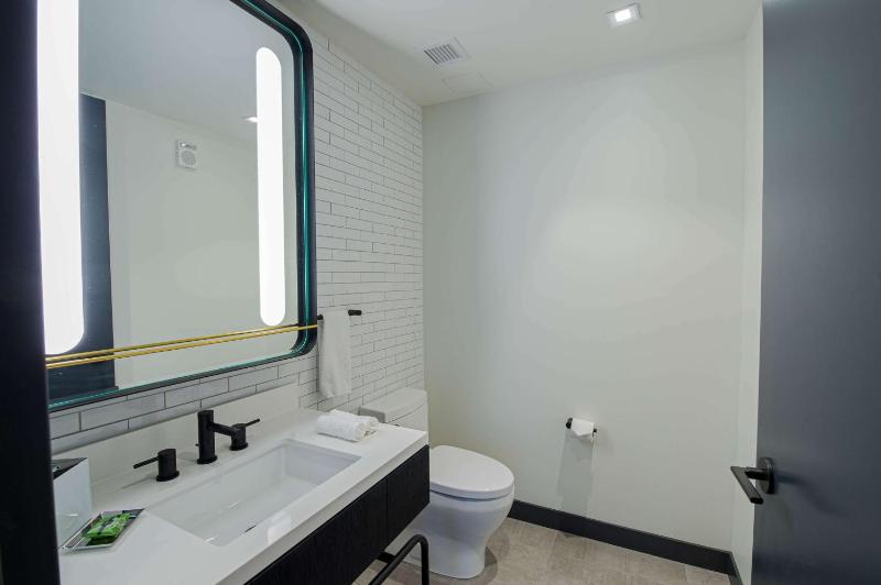 King Studio Suite image 2
