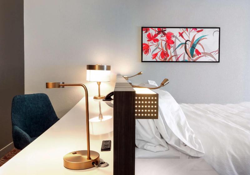 Deluxe King Room - Hearing Accessible  image 1