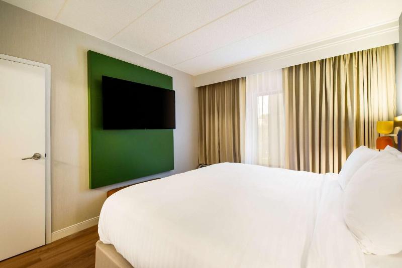 One-Bedroom King Suite image 4