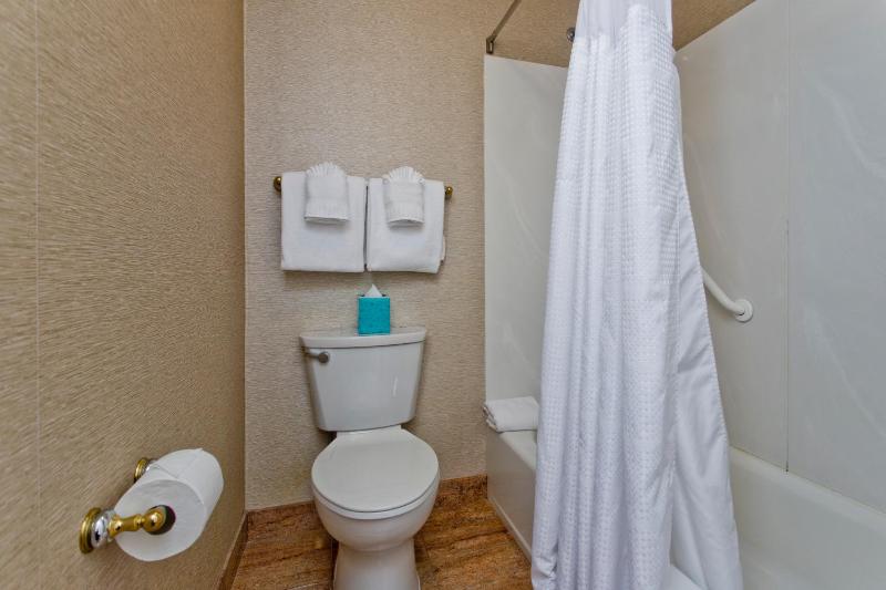 Deluxe Double Room (2 Adults + 1 Child) image 2