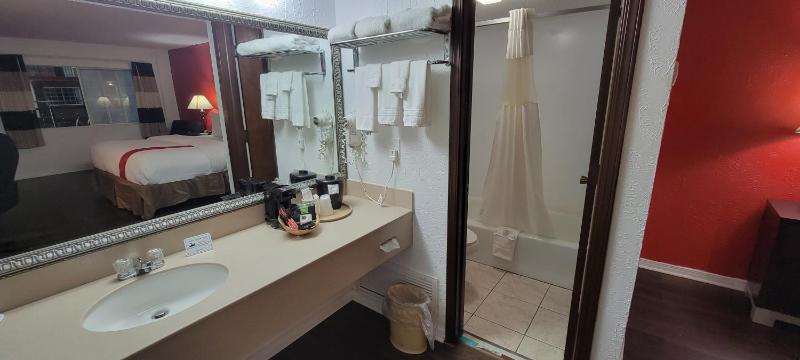 1 King Bed, Pool Access, Non-Smoking image 3