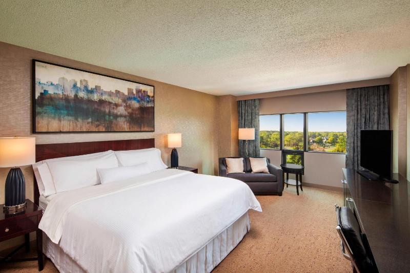 Larger Guest room, 1 King, Sofa bed image 2