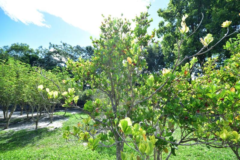 Chin Shan B&B - image 19