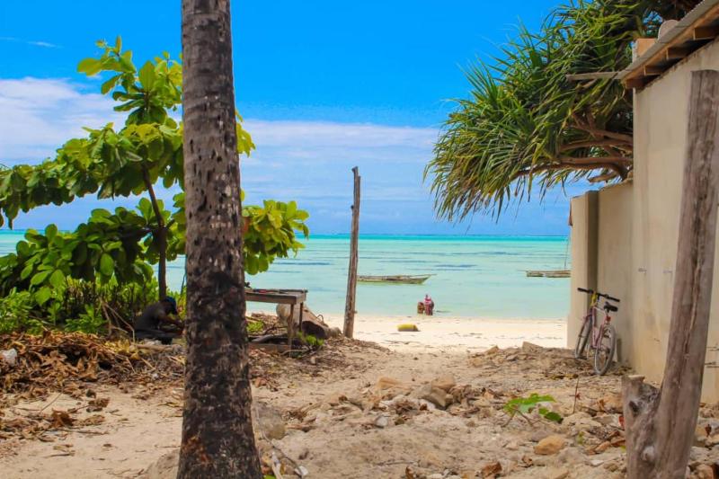 Pamoja Beach Stays Hotel in Jambiani - image 11
