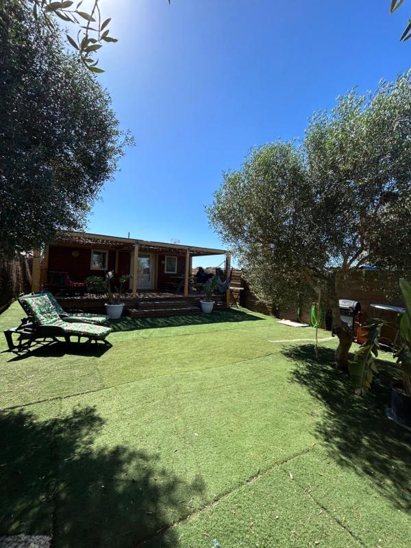OHANA palmar - image 1