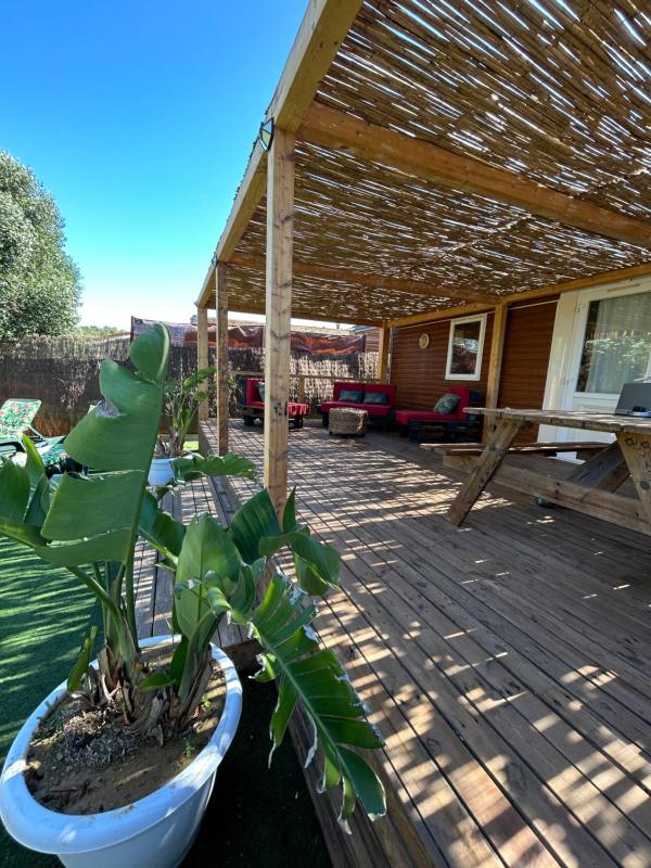 OHANA palmar - image 23
