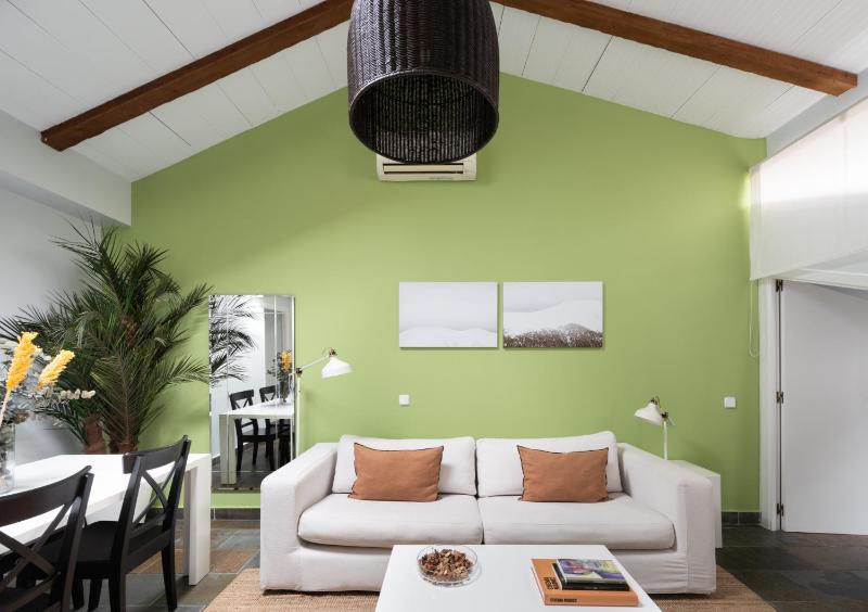 Penthouse Apartment image 3