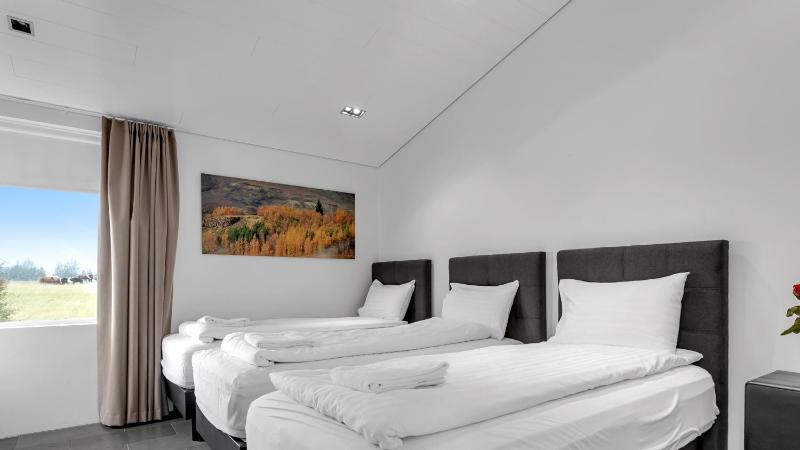 Deluxe Villa image 1