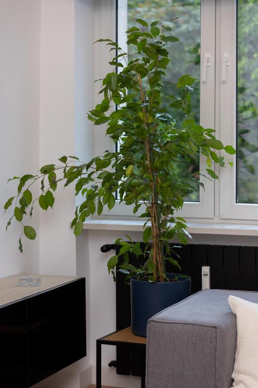 Warsaw Central Apartment 10 min walk from Palace of Culture & Science by Noclegi Renters - image 6