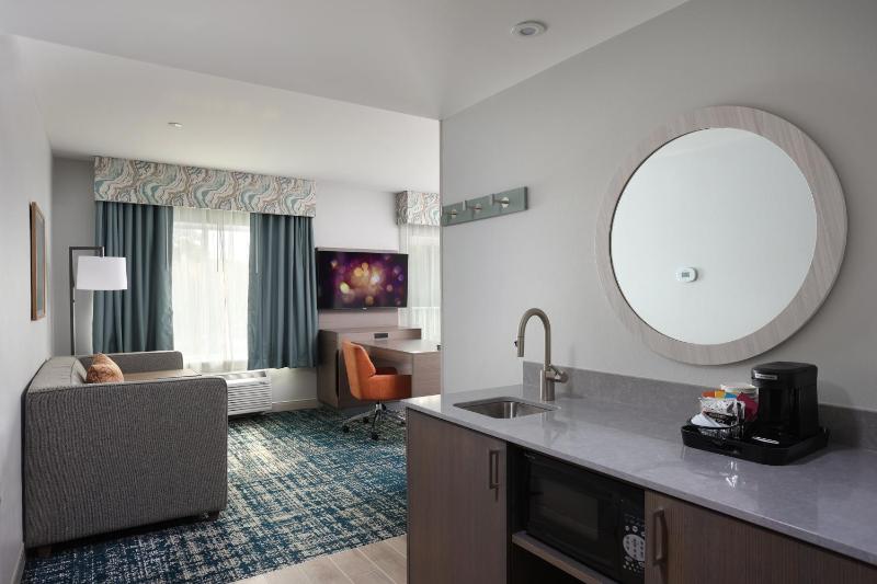 King Studio Suite image 2