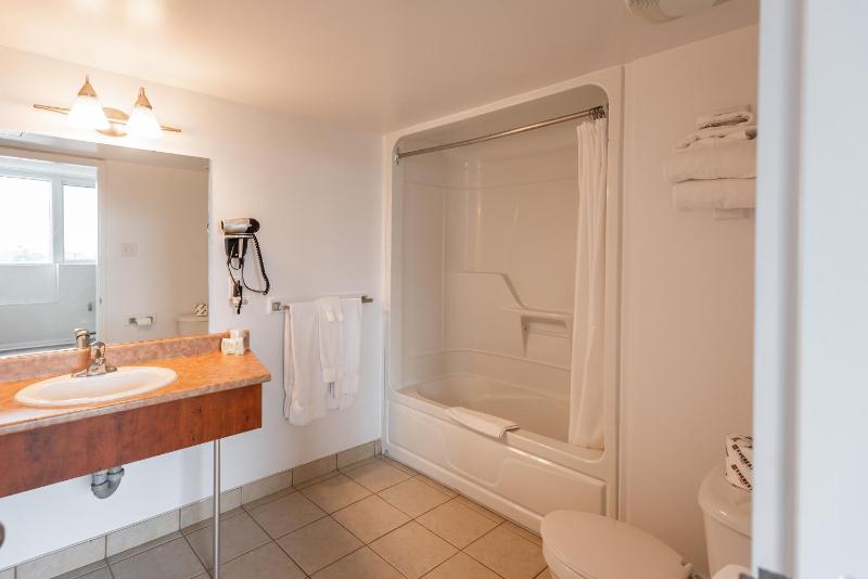 Hotel Les Suites Labelle - image 16