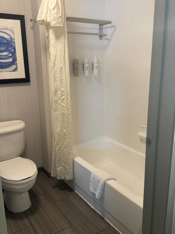 King Suite - Hearing Access/Non-Smoking image 3