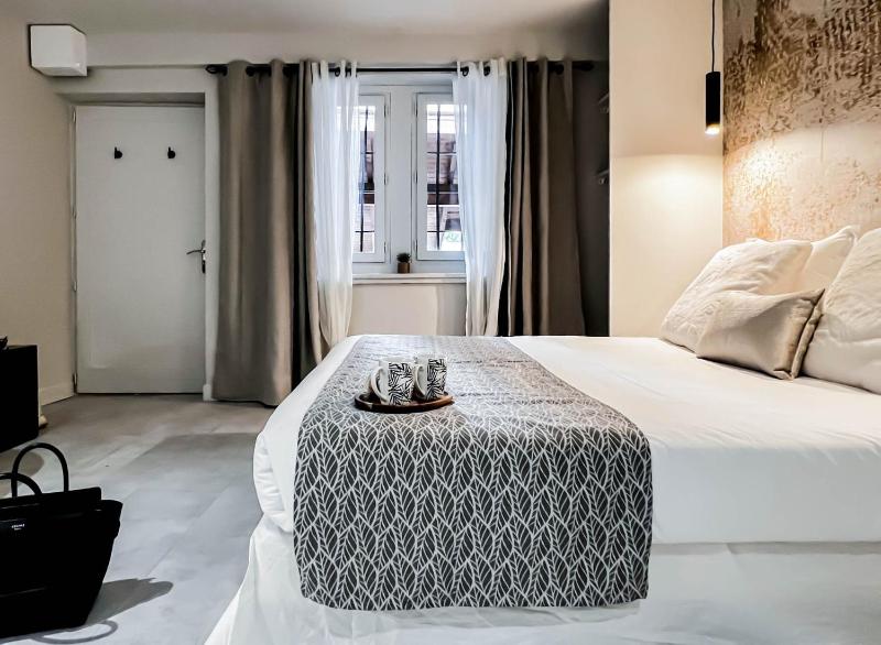 Loveroom Muse old town jacuzzi Annecy vieille ville - image 13