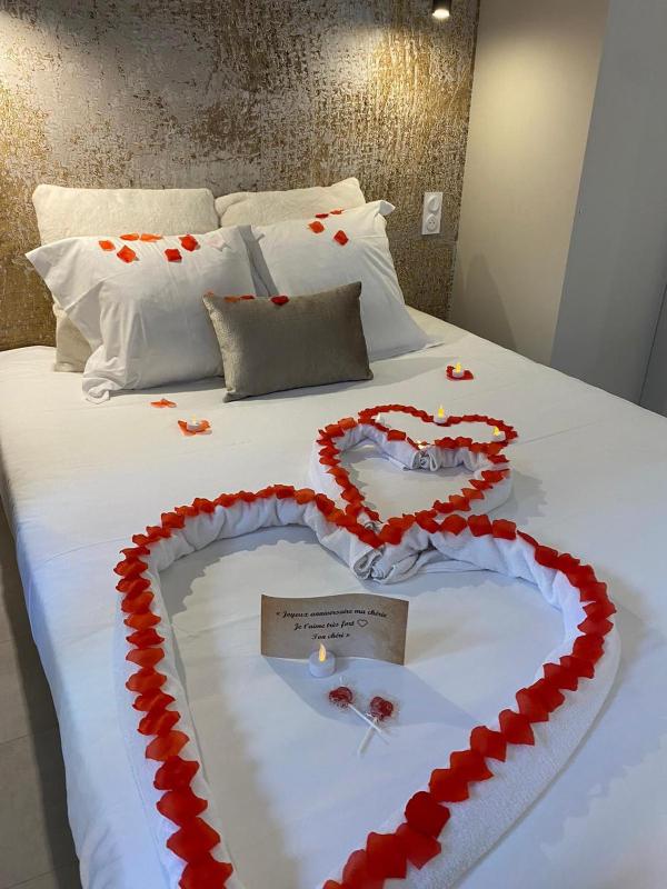 Loveroom Muse old town jacuzzi Annecy vieille ville - image 14