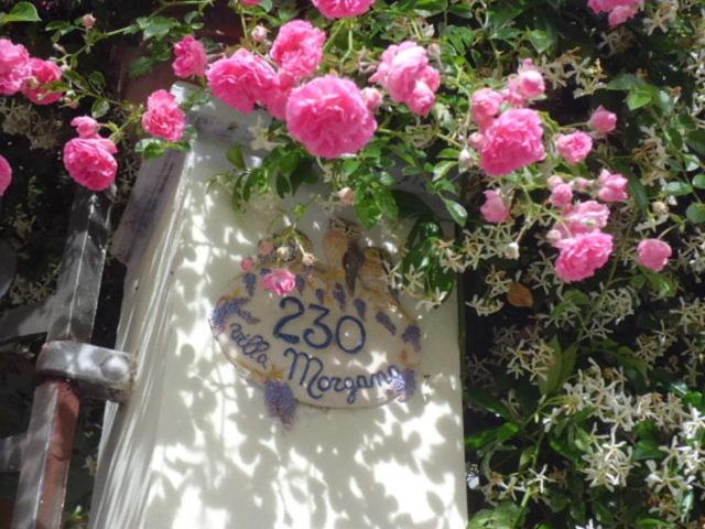 Hotel Villa Morgana - image 20