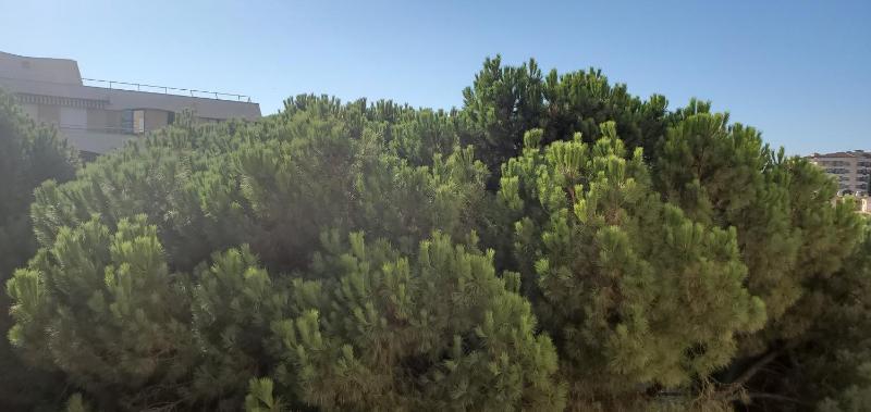 Frejus Plage LA MIOUGRANO T2-3 49m2 5 personn - image 13