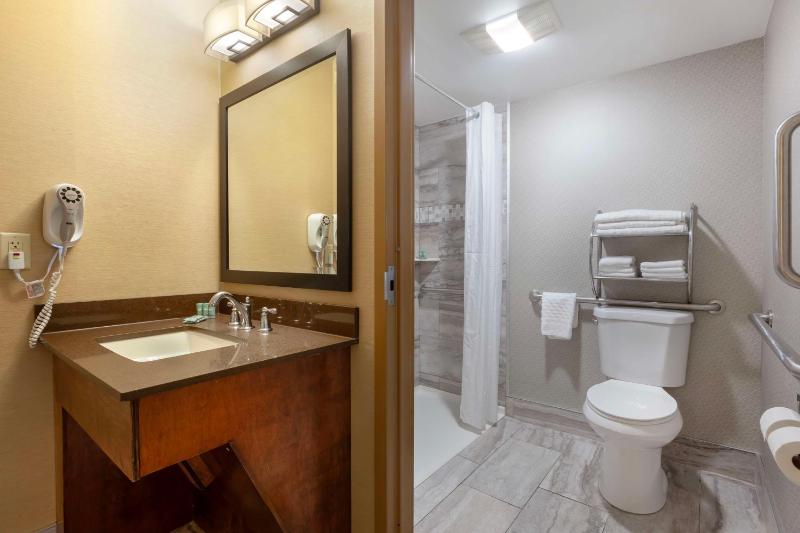 King Room with Roll-In-Shower - Mobility Accessible/Non-Smoking image 2
