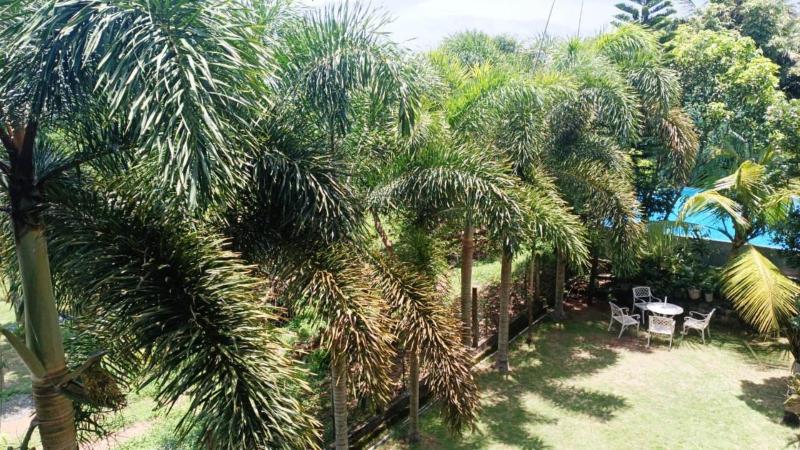 Green View Villa - image 38