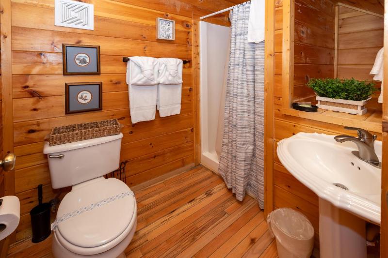 Snowshoe Lodge - image 4