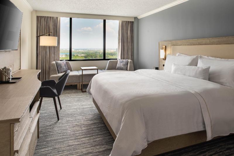 Traditional, Guest room, 1 King image 1