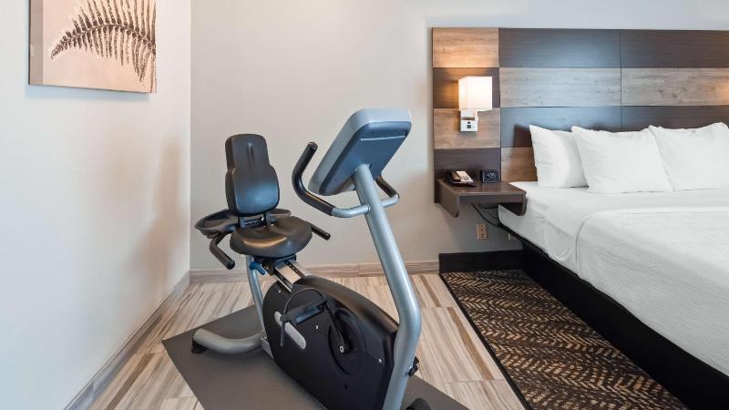 King Room with Exercise Bike  image 4