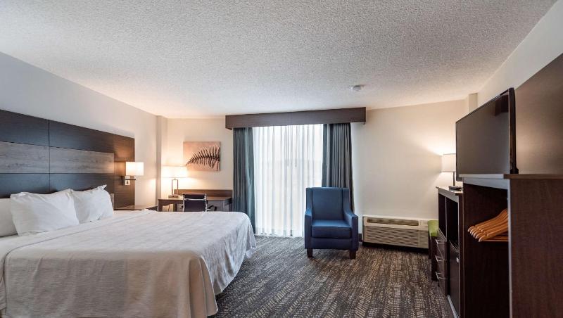 King Room with Walk-in Shower - Disability Access image 3