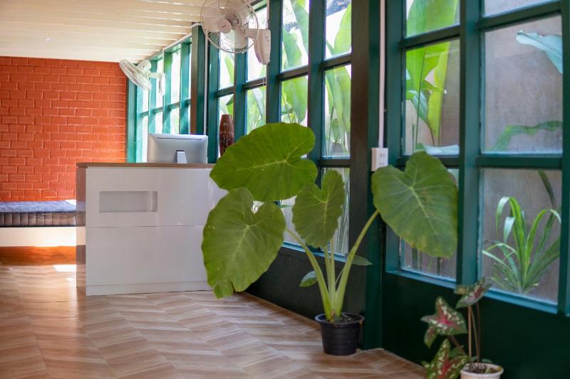 Isano Nomad Hostel - image 8