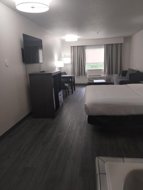 Standard King Room with Whirlpool in bath and Sofabed - Non Smoking  image 3