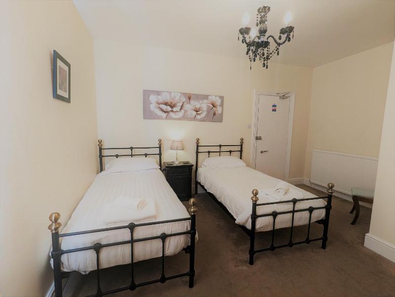 Deluxe Twin Room image 3