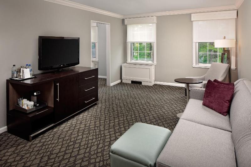 One-Bedroom Junior King Suite with Sofa Bed image 1