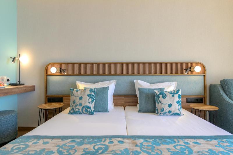 Deluxe Twin Room image 4