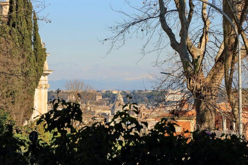 Deluxe Double or Twin Room with City View image 2