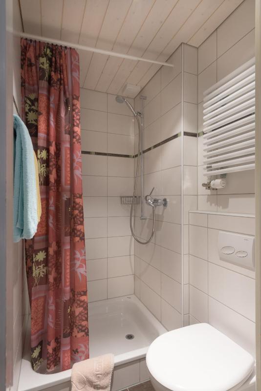Double or Twin Room with Balcony and Mountain View image 4