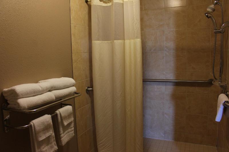 Studio Deluxe Suite with King Bed, Non-Smoking image 3
