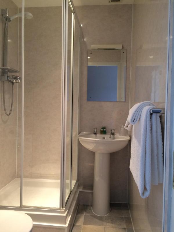 Single Room image 3