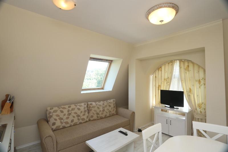 Budget One-Bedroom Apartment image 3