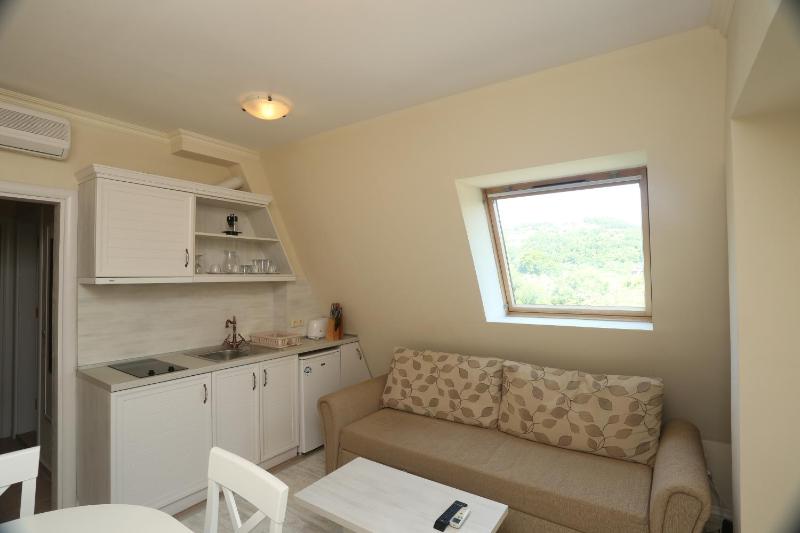 Budget One-Bedroom Apartment image 4