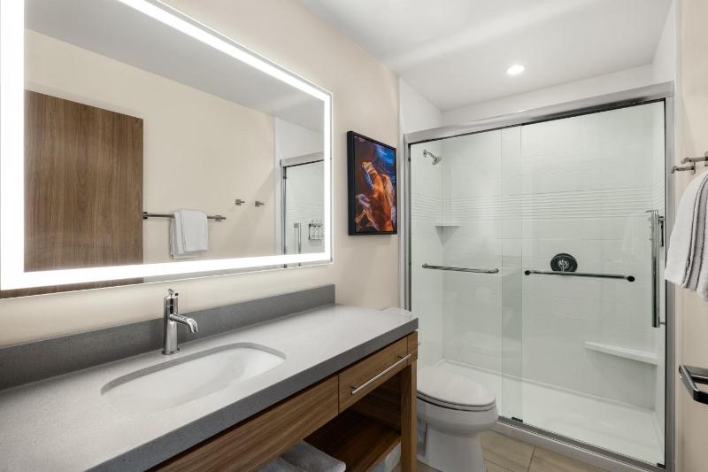 King Studio Suite image 2