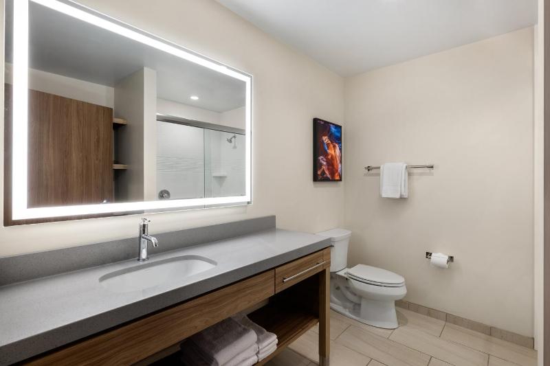 Studio King Suite with Roll In Shower - Mobility Accessible image 4