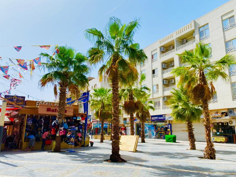 Zebra House Hurghada center - image 17