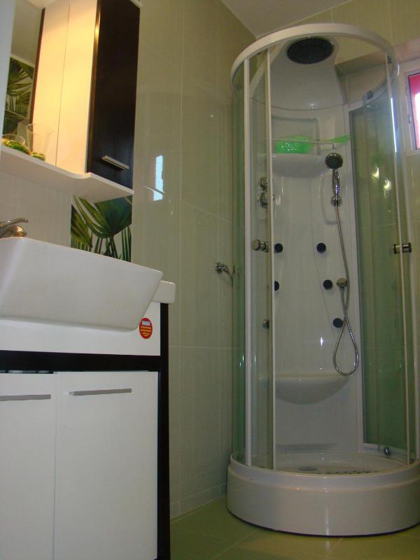 One-Bedroom Apartment (2 Adults + 2 Children) image 3