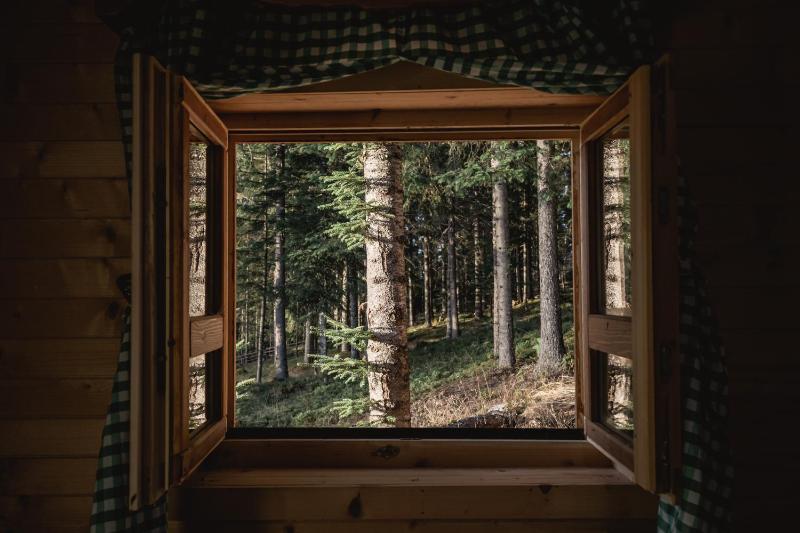 Chalet image 1