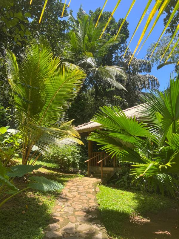 Into The Blue - Walk to 3 beaches & surf - image 16