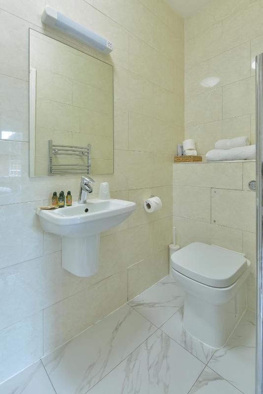Single Room image 4