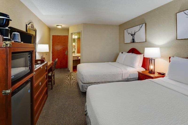 Deluxe Double Room with Two Double Beds image 2